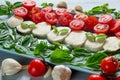 Delicious caprese salad on the gray plate with organic ingredients: sliced mozzarella cheese, cherry tomatoes, fresh basil leaves Royalty Free Stock Photo