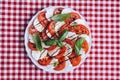 Delicious caprese salad Royalty Free Stock Photo