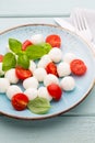 Delicious caprese salad with ripe cherry tomatoes and mini mozzarella cheese balls with fresh basil leaves Royalty Free Stock Photo