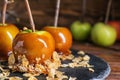 Delicious caramel apples with tree branches on slate plate Royalty Free Stock Photo