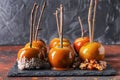 Delicious caramel apples with tree branches on slate plate Royalty Free Stock Photo