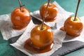 Delicious caramel apples with tree branches on slate plate Royalty Free Stock Photo