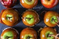 Delicious caramel apples with tree branches on slate plate Royalty Free Stock Photo