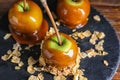 Delicious caramel apples with tree branches on slate plate Royalty Free Stock Photo