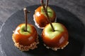 Delicious caramel apples with tree branches on slate plate Royalty Free Stock Photo