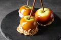 Delicious caramel apples with tree branches on slate plate Royalty Free Stock Photo