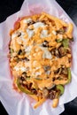 carne asada fries with cheese and vegetables Royalty Free Stock Photo