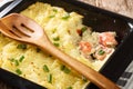 Delicious casserole with mashed potatoes, cream, onions and salmon close-up in a baking dish. horizontal