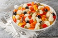 Delicious cauliflower salad with pickled vegetables, olives and anchovies close-up on a plate. Horizontal Royalty Free Stock Photo