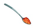 Delicious caviar on spoon. Seafood product of red fish and sturgeon or fish from the salmon family. Gourmet food close