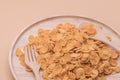 Delicious cereal cheese crispy cornflakes warm tone background.