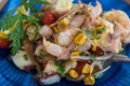 Delicious ceviche mixto mexican style Royalty Free Stock Photo