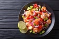 Delicious ceviche of shrimp with vegetables, spices and lime close up on a plate. horizontal top view Royalty Free Stock Photo