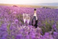 Delicious champagne over lavender flowers field. Violet flowers on the background. Sunset sky over lavender bushes