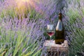 Delicious champagne over lavender flowers field. Violet flowers on the background. Sunset sky over lavender bushes