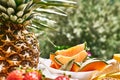 Honey melon sliced and pineapple on the table in the garden. Summer Italian Breakfast or picnic. Selective focus. Royalty Free Stock Photo