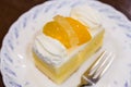 Delicious cheese cake with peach