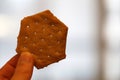 Hexagon-Shaped Cheese Cracker in a Closeup Royalty Free Stock Photo