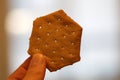 Hexagon-Shaped Cheese Cracker in a Closeup Royalty Free Stock Photo