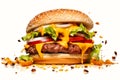 delicious cheeseburger on white background Royalty Free Stock Photo
