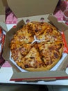Delicious cheesey pizza