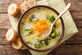 Delicious cheesy broccoli soup with vegetables in a bowl with to