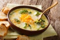 Delicious cheesy broccoli soup with vegetables in a bowl with to