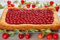 Delicious cherry pie with jelly on the gray kitchen background. Homemade cold cherry tart decorated with fresh berries and mint Royalty Free Stock Photo