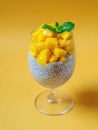 Delicious chia pudding parfait with fresh mango and mint on vibrant orange background Royalty Free Stock Photo