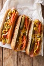 Delicious Chicago style hot dog with mustard, vegetables and rel