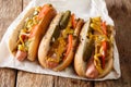 Delicious Chicago style hot dog with mustard, vegetables and rel Royalty Free Stock Photo
