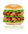 Delicious chicken burger Royalty Free Stock Photo