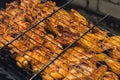 Delicious chicken frying on barbecue grill grate outdoor. Seasoning falling on fresh grilled chicken wings. Summer party Royalty Free Stock Photo