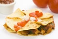 Delicious chicken quesadilla and fresh vegetables Royalty Free Stock Photo
