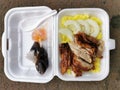 delicious chicken rice in polystyrene packaging. Royalty Free Stock Photo