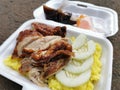 Delicious chicken rice in polystyrene packaging. Royalty Free Stock Photo
