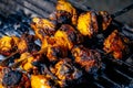 Delicious CHicken Snacks in Nepal barbeque sekuwa Fried Chicken