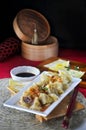 Delicious Chinese appetizer Wanton Serving on White Plate Royalty Free Stock Photo