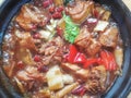 A Chinese home cooking dish, braised chicken with yellow sauce