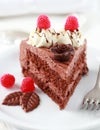 Delicious chocolate cake Royalty Free Stock Photo