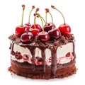 delicious chocolate cake with cherry isolated