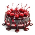 delicious chocolate cake with cherry isolated