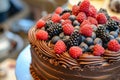 Delicious chocolate cake decorated with fresh berries Royalty Free Stock Photo