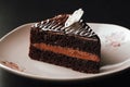 Delicious chocolate cake on plate on table on light background Royalty Free Stock Photo