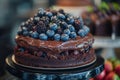 Delicious chocolate cake topped with fresh berries Royalty Free Stock Photo