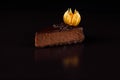 A delicious chocolate cheesecake on a black background side view.