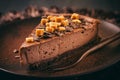 Delicious chocolate cheesecake with salted caramel Royalty Free Stock Photo