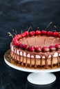 Delicious chocolate and cherry cheesecake dessert decorated with Royalty Free Stock Photo