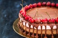 Delicious chocolate and cherry cheesecake dessert decorated with Royalty Free Stock Photo