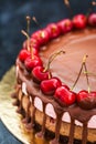 Delicious chocolate and cherry cheesecake dessert decorated with Royalty Free Stock Photo